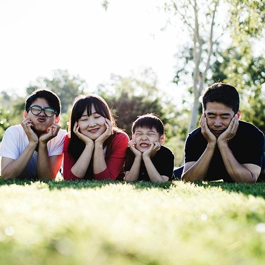 family dentist, dentist