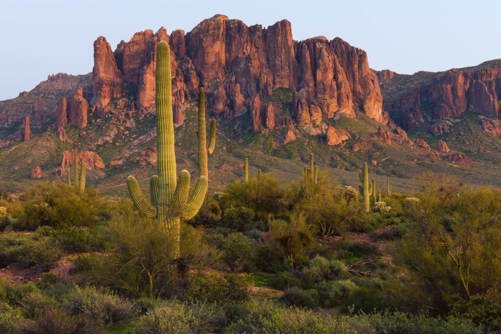 dentist in Mesa